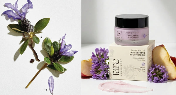 The Night Cream That Works | By Rare Chemistry