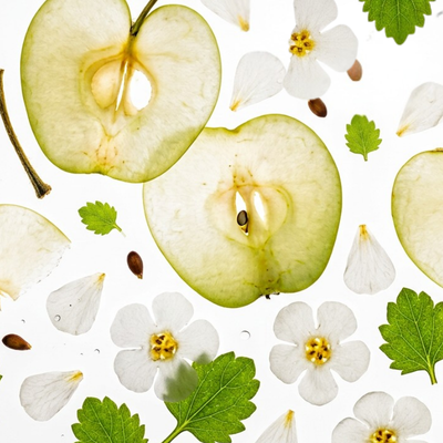 10+ Antioxidants
