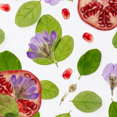 6 Botanicals