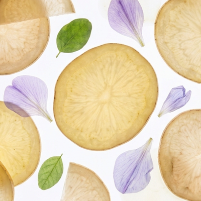 6 Botanicals