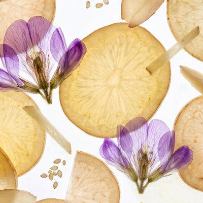 7 Botanicals