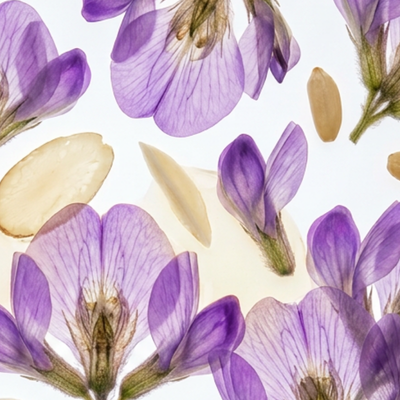 7 Botanicals
