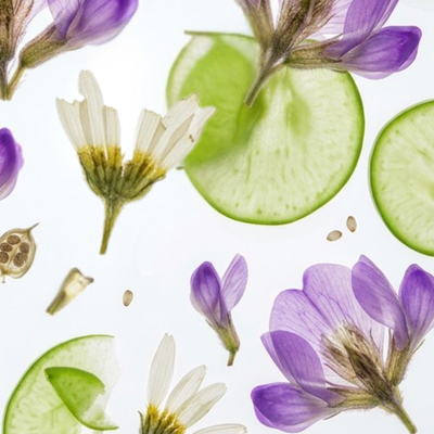 7 Botanicals 