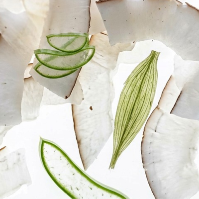 8 Botanicals