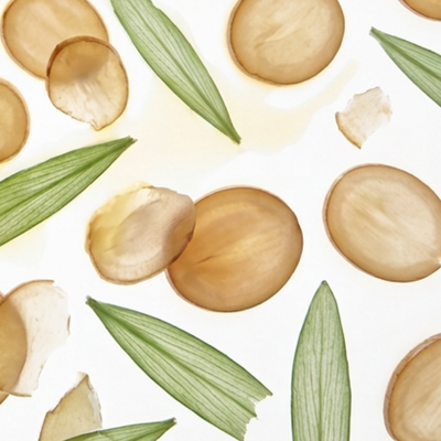 4 Botanicals