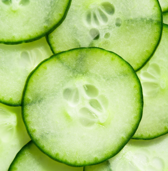 Cucumber