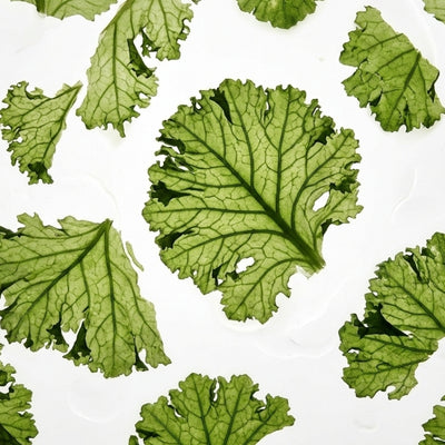 Kale