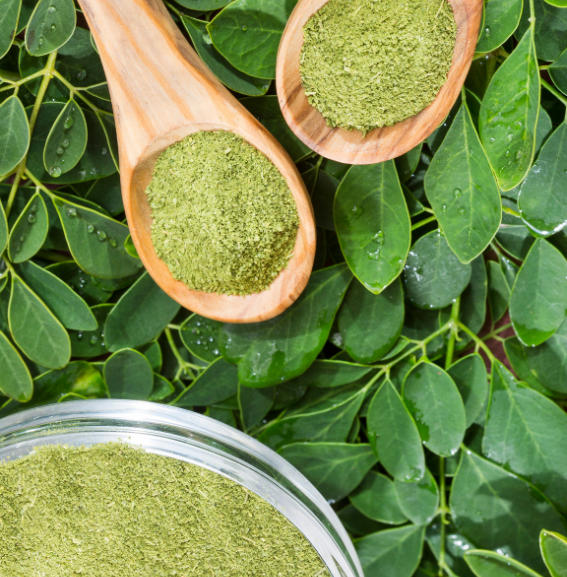 Moringa