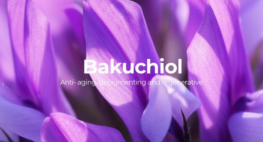 Bakuchiol's Role in Modern Skincare